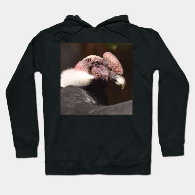 Andean Condor Hoodie by Sharonzoolady